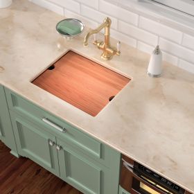 23 in. * 19 in. Undermount Single Bowl T304 Stainless Steel Ledge Workstation Laundry Utility Sink Basin