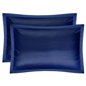 2 Pack Soft Silky Satin Pillow Case Hypoallergenic Breathable Bed Pillow Cover Queen Size Pillowcase Great for Hair Skin (Option: Cgase(Navy)