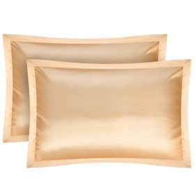 2 Pack Soft Silky Satin Pillow Case Hypoallergenic Breathable Bed Pillow Cover Queen Size Pillowcase Great for Hair Skin (Option: Cgase(Ivory)