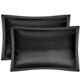 2 Pack Soft Silky Satin Pillow Case Hypoallergenic Breathable Bed Pillow Cover Queen Size Pillowcase Great for Hair Skin (Option: Cgase(Black)
